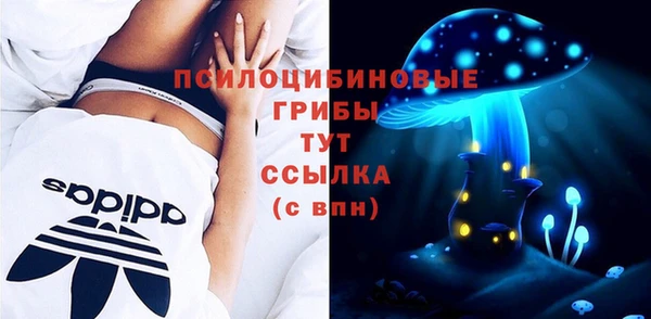 молекула духа Алзамай