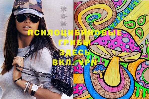 прущие грибы Абаза