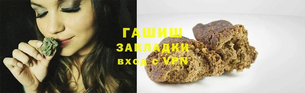 прущие грибы Абинск