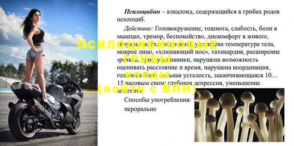 прущие грибы Алексеевка