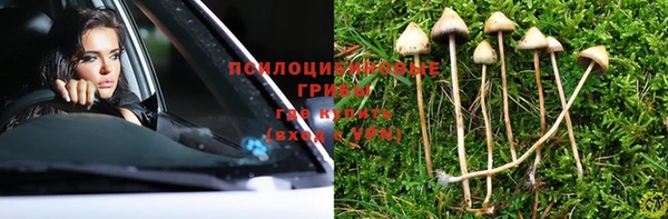 прущие грибы Алексеевка