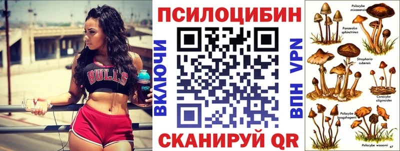 Псилоцибиновые грибы GOLDEN TEACHER  Белый 